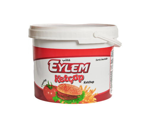 EYLEM KETÇAP 9 KG KOVA